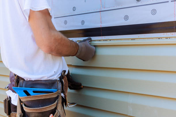 Affordable Vinyl Siding solutions in Williamsburg, KY